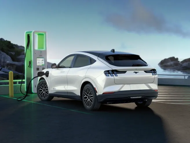 Xe Thuận Điện (BEV)